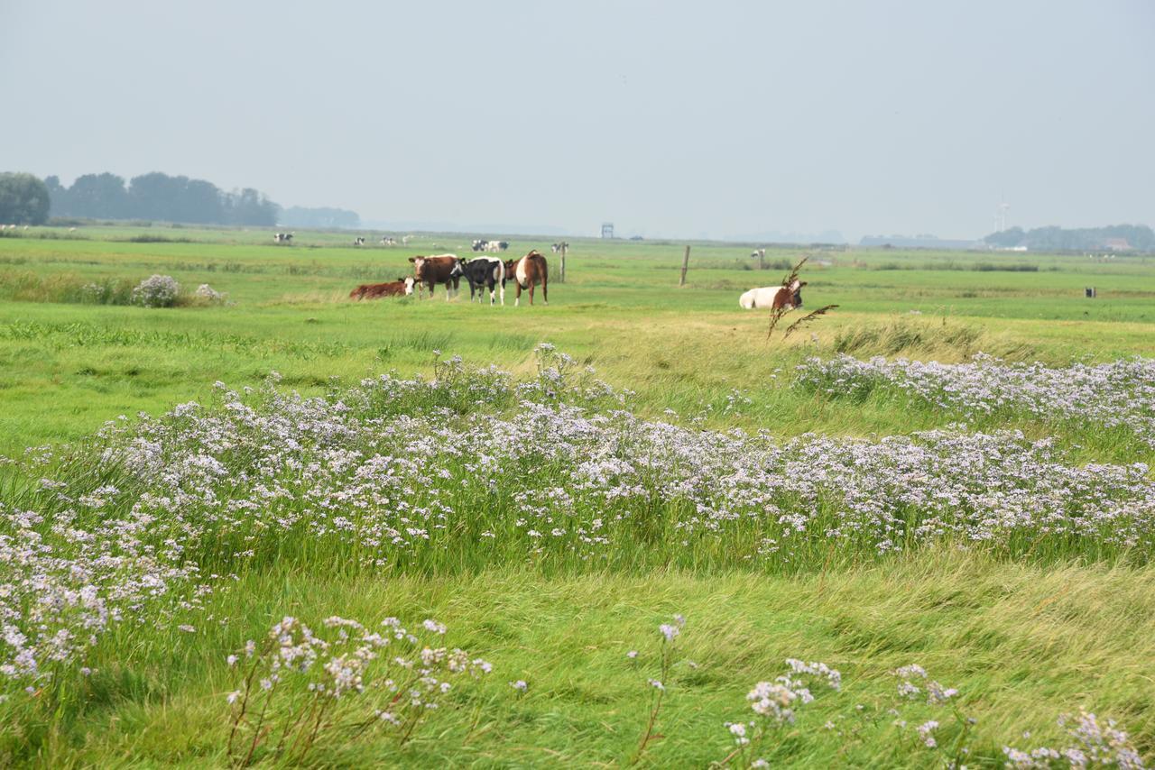 Countryside Eco Natuurhuisjes Ee エクステリア 写真