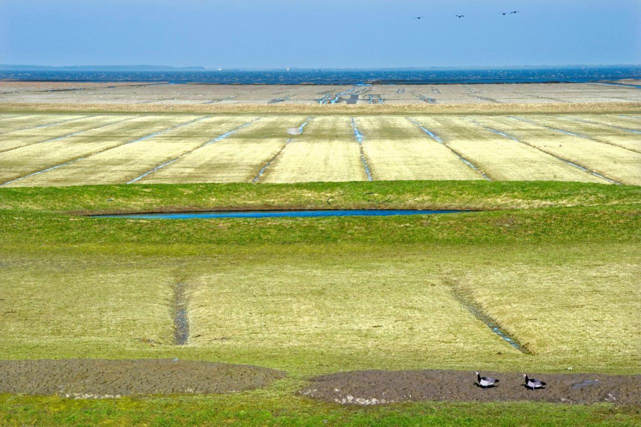 Countryside Eco Natuurhuisjes Ee エクステリア 写真