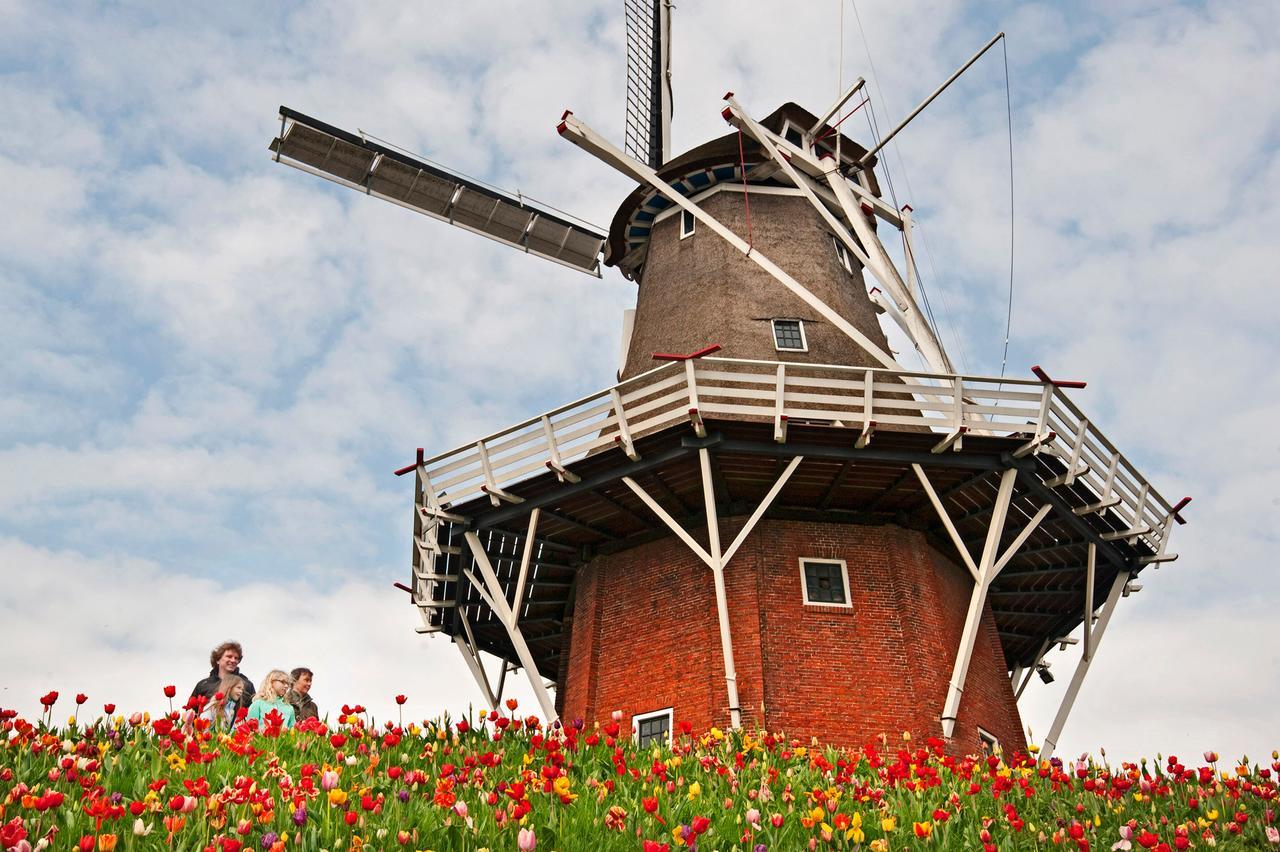 Countryside Eco Natuurhuisjes Ee エクステリア 写真