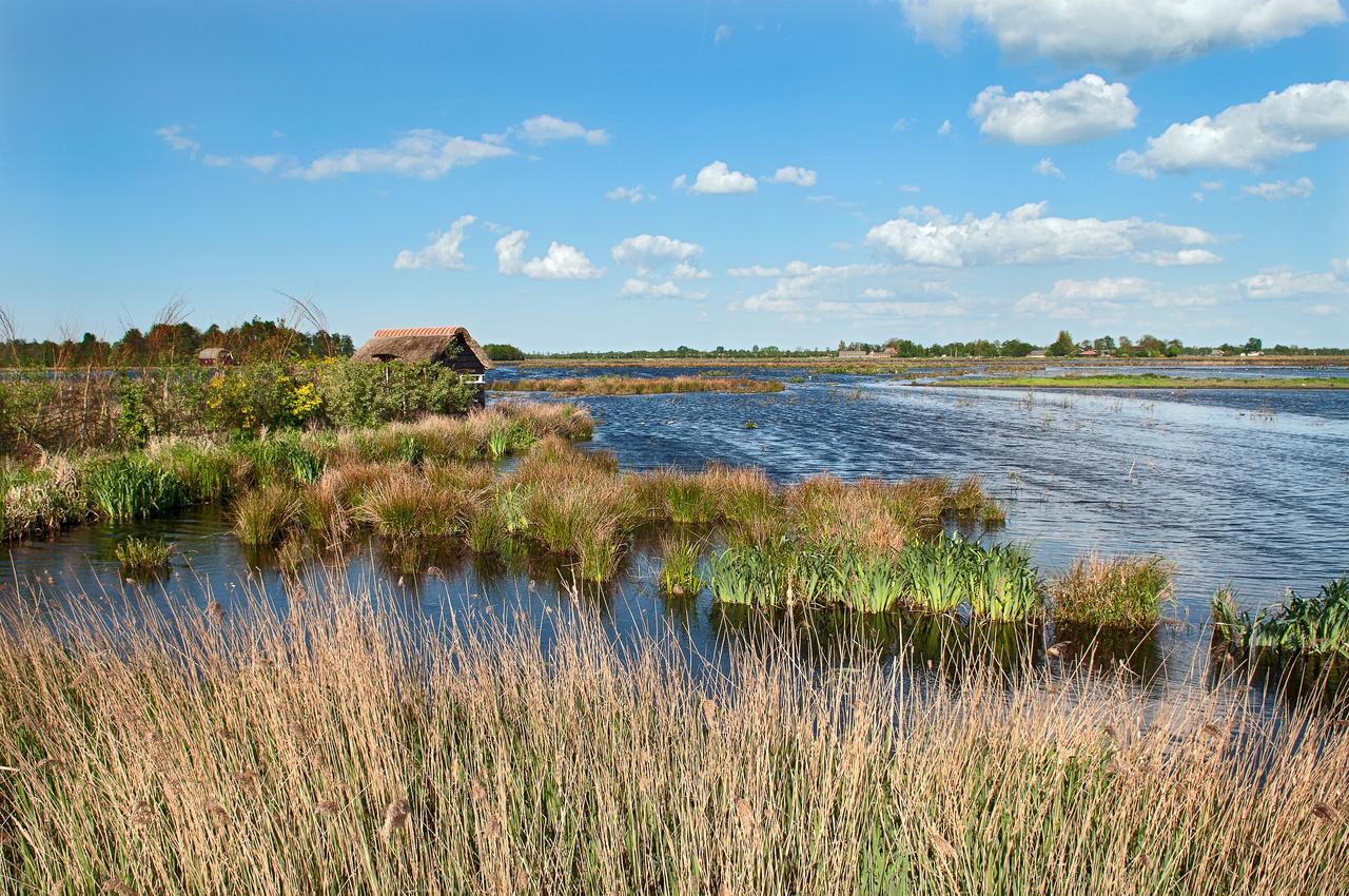 Countryside Eco Natuurhuisjes Ee エクステリア 写真