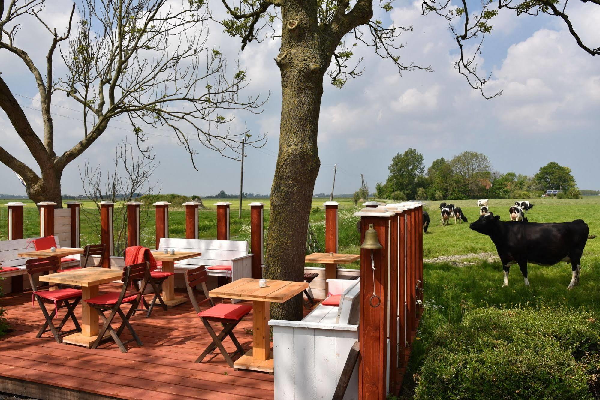 Countryside Eco Natuurhuisjes Ee エクステリア 写真