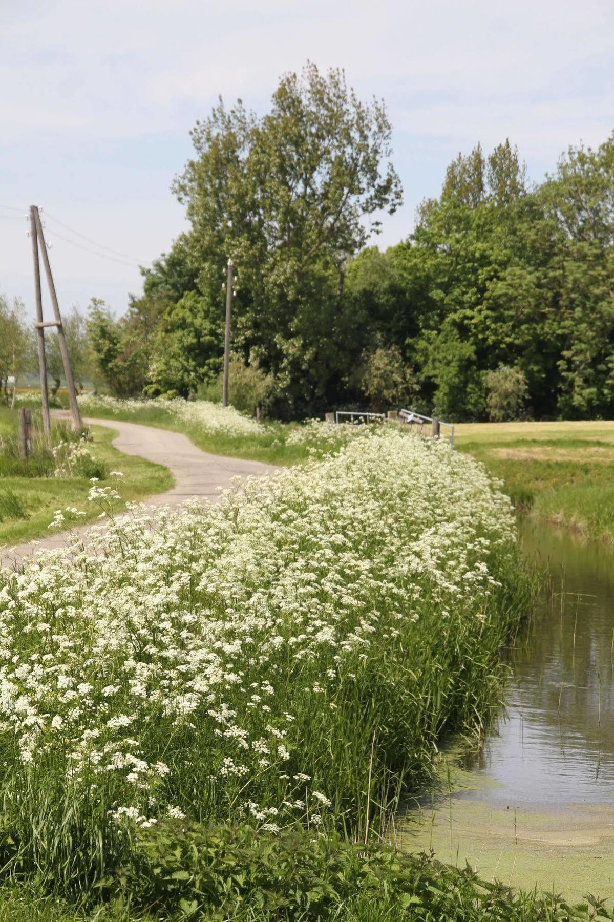 Countryside Eco Natuurhuisjes Ee エクステリア 写真