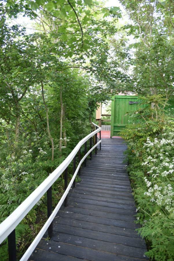 Countryside Eco Natuurhuisjes Ee エクステリア 写真